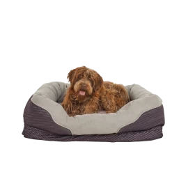 Petco Orthopedic Peaceful Nester Dog Bed, Washable, 40-in X 30-in, Grey 8 Petco Orthopedic Peaceful Nester Dog Bed, Washable, 40-in X 30-in, Grey -Spooky Pet World orthopedic peaceful nester gray dog bed 40 l x 30 w b22ad438 9366 4007 865b 3df8282e5bbf