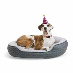 Petco Anti-Slip Round Plush Dog Bed, Washable, 46 X 38-in, Cream/Navy -Spooky Pet World paws up 46 x 38 pet bed ee79f31b 8d90 4a1f bd3a 8971a7e82fab