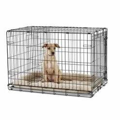 Petco 1-Door Folding Dog Crate -Spooky Pet World petco 1 door folding dog crate large 36 a4e4464a 802a 46c4 a4a0 760d874a73c2