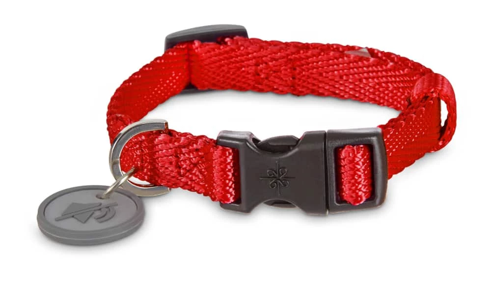 Petco Nylon Dog Collar, Adjustable, Includes Tag Muffler, Small, Red 3 Petco Nylon Dog Collar, Adjustable, Includes Tag Muffler, Small, Red