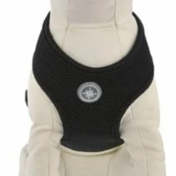 Petco Mesh Step-In Dog Harness Vest, Adjustable Straps, Medium, Black