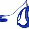 Petco Mesh Cat Harness And Leash Set, Adjustable For Cat Walking, 4-ft, Blue -Spooky Pet World petco blue cat mesh harness lead set d5e5d55a c199 426d 8511 909d27eec871