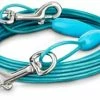 Petco Free-To-Flex Dog Tie Out Cable, 20-ft, Small, Blue -Spooky Pet World petco blue small free to flex dog tie out 20 l 3daf35f1 fc47 4f76 8824 578f72d63442