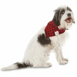 Petco Buffalo Check Plaid Dog/Pet Bandana, Adjustable And Washable, Assorted Sizes