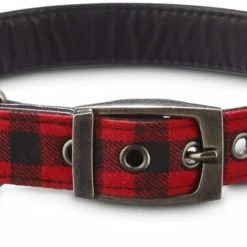 Petco Buffalo Check Plaid Dog Collar, Adjustable, Large