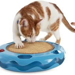 Petco Cat Track Cat Toy With Sisal Mat, Blue 20 Petco Cat Track Cat Toy With Sisal Mat, Blue -Spooky Pet World petco cat track cat toy with sisal mat 1b1254b0 40a3 458c 8007 dedbfb8f318d