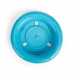 Petco Cat Track Cat Toy With Sisal Mat, Blue 31 Petco Cat Track Cat Toy With Sisal Mat, Blue -Spooky Pet World petco cat track cat toy with sisal mat 78cd44d1 77e6 43d4 a909 cb4f5896cbf6