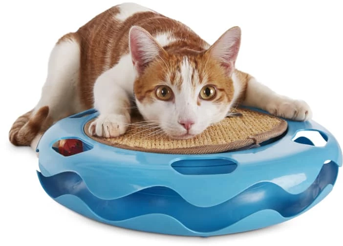Petco Cat Track Cat Toy With Sisal Mat, Blue 5 Petco Cat Track Cat Toy With Sisal Mat, Blue - Image 3