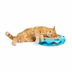 Petco Cat Track Cat Toy With Sisal Mat, Blue 24 Petco Cat Track Cat Toy With Sisal Mat, Blue -Spooky Pet World petco cat track cat toy with sisal mat a7e701cb e808 4c4a bb4c d1fdba9c8451