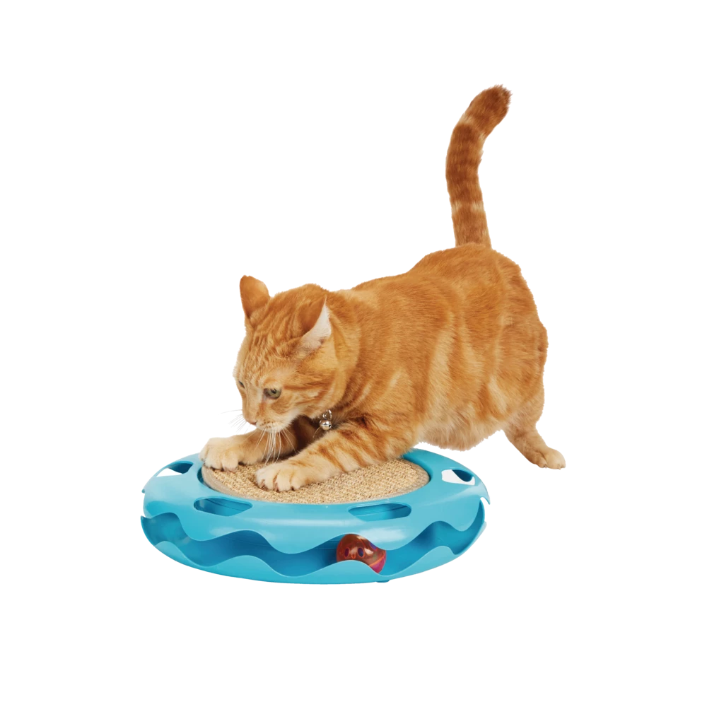 Petco Cat Track Cat Toy With Sisal Mat, Blue 9 Petco Cat Track Cat Toy With Sisal Mat, Blue - Image 7