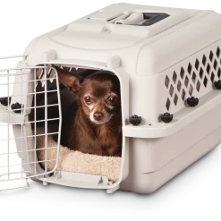 Petco Classic Dog/Pet Kennel, Lockable, 20-in -Spooky Pet World petco classic dog kennel 20 l x 13 w x 10 h 7922dd77 c3ea 4bd3 9808 6d791894c724