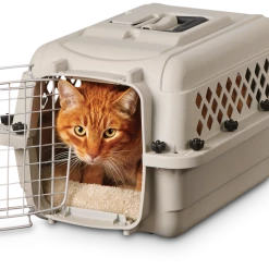 Petco Classic Dog/Pet Kennel, Lockable, 20-in -Spooky Pet World petco classic dog kennel 20 l x 13 w x 10 h f2e93393 e368 44f2 bfce 5cfb5cfe7c17