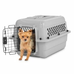 Petco Classic Dog/Pet Kennel, Lockable, 24-in -Spooky Pet World petco classic dog kennel 24 l x 16 w x 14 h b0a2bcbf 1386 4e3d bced 254dea0a63a0