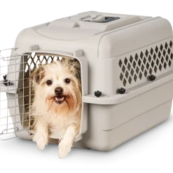 Petco Classic Dog/Pet Kennel, Lockable, 24-in -Spooky Pet World petco classic dog kennel 24 l x 16 w x 14 h ca97cd49 5e34 490a 9f68 1225d59977d1