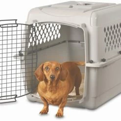 Petco Classic Dog/Pet Kennel, Lockable, 28-in