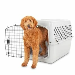 Petco Classic Dog/Pet Kennel, Lockable, 40-in -Spooky Pet World petco classic dog kennel 40 l x 27 w x 30 h 97c77a58 055b 4350 a617 9e3f2d7c94b8