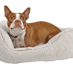 Petco Cozy Cuddler Plush Dog Bed, Washable, 20-in X 22-in, Cream 9 Petco Cozy Cuddler Plush Dog Bed, Washable, 20-in X 22-in, Cream -Spooky Pet World petco cozy cuddler s cream da8a4679 13c2 40c8 aea3 0c5d02a8f91b