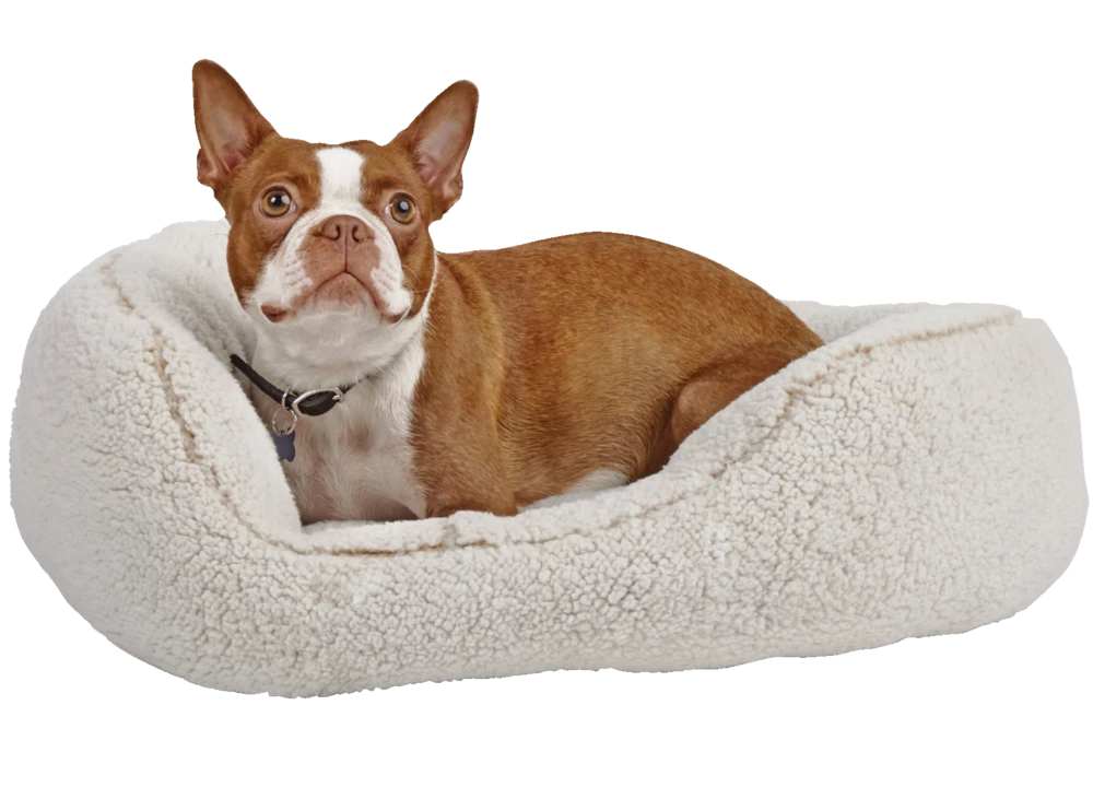 Petco Cozy Cuddler Plush Dog Bed, Washable, 20-in X 22-in, Cream 6 Petco Cozy Cuddler Plush Dog Bed, Washable, 20-in X 22-in, Cream - Image 4