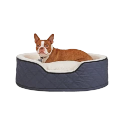 Petco Cuddler Orthopedic Memory Foam Dog Bed, Washable, 28-in X 20-in, Blue -Spooky Pet World petco cuddler orthopedic dog bed blue 28 x 20 f4348017 0756 48ac af87 39ece06eea9d