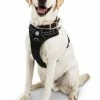 Petco Front Walking Mesh Reflective Dog Harness Vest, Adjustable, Assorted Sizes, Black -Spooky Pet World petco front walk harness lg black 3faf2715 566b 4993 8f9b 996f4d589549