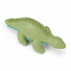 Petco Green Stego Dental Dog Chew Toy, Extra Small