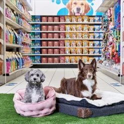 Petco EveryYay Snooze Fest High-Back Bolster Cat Bed, Washable, 18-in X 18-in, Pink -Spooky Pet World petco grey lounger orthopedic dog bed 40 l x 30 w 2f8289e0 ec5e 4029 9eae 964d5aa003ca 1