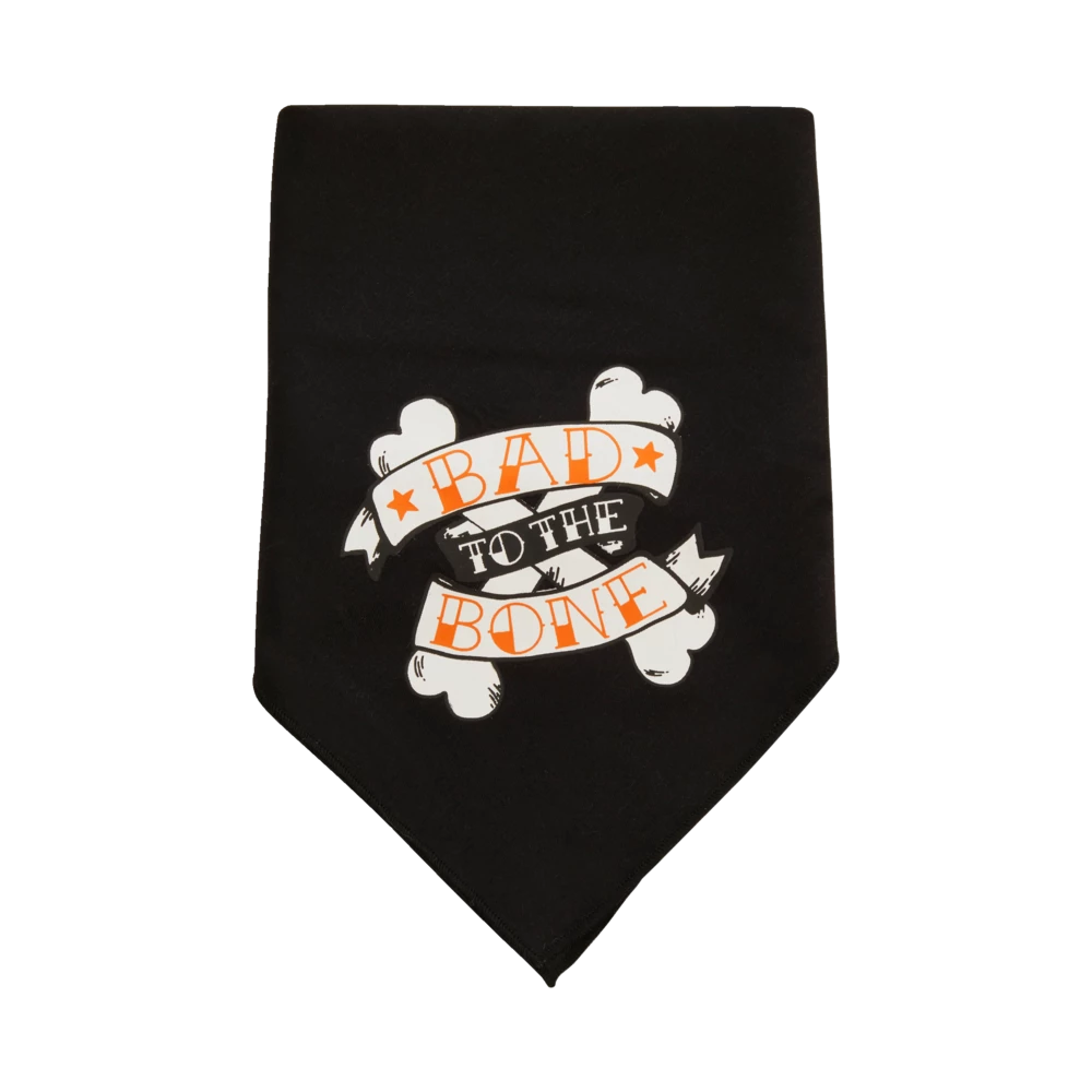 Petco Halloween Spooky & Kooky Pet Bandanas, One Size, 2-pk 3 Petco Halloween Spooky & Kooky Pet Bandanas, One Size, 2-pk - Image 2