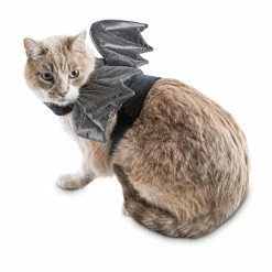 Petco Halloween Bratty Batty Cat Costume -Spooky Pet World petco halloween bat costume 482058b3 9506 42e2 a9a6 baa829cde541
