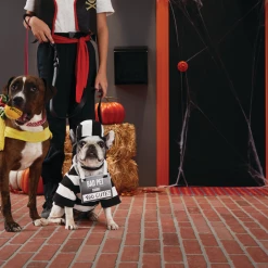 Spooky Pet World 22 Spooky Pet World -Spooky Pet World petco halloween dog taco costume xs 236649a7 8dab 4f7a 9289 0a9aaaed11a9 1