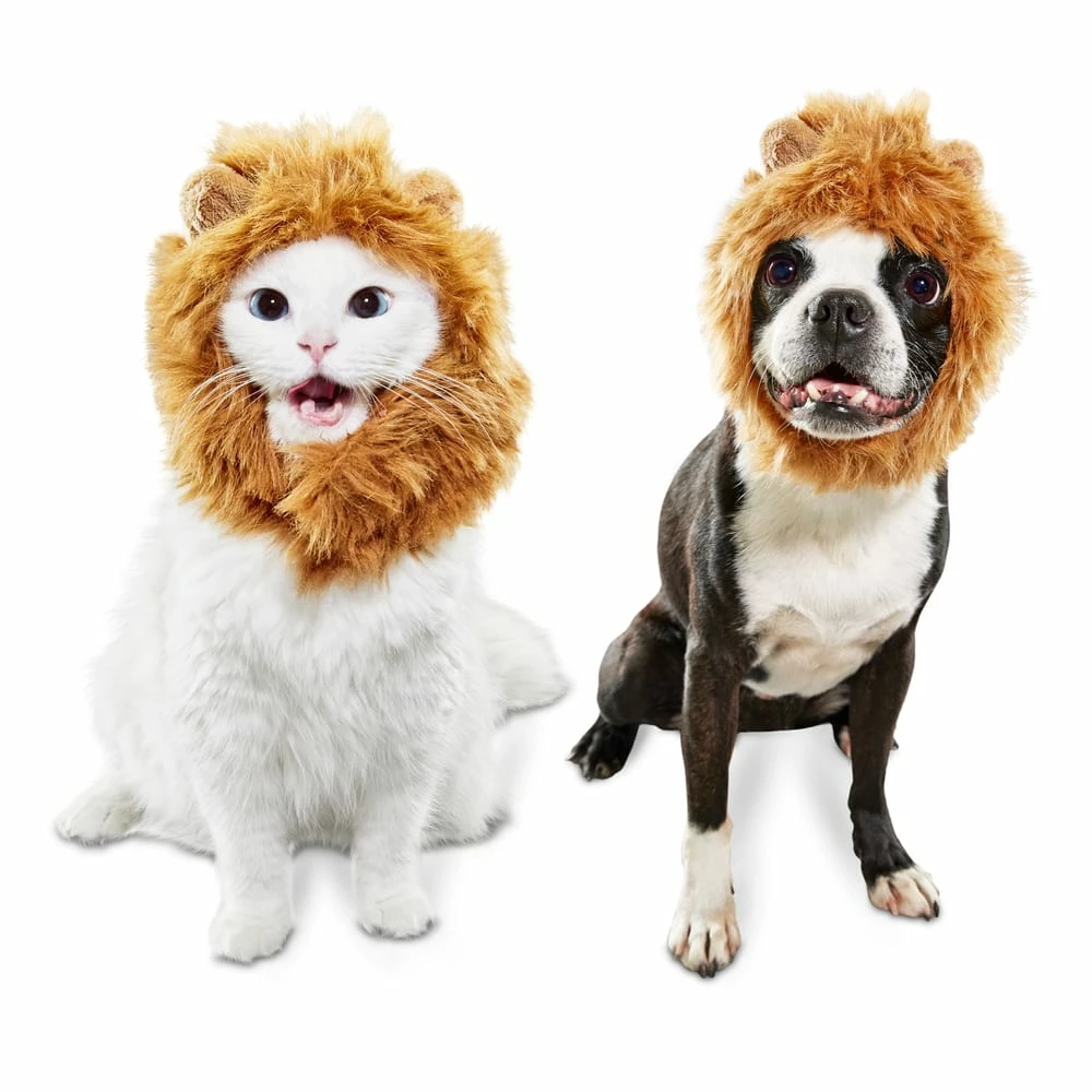 Petco Mane Reign Lion Pet Headpiece Halloween Costume 4 Petco Mane Reign Lion Pet Headpiece Halloween Costume - Image 2