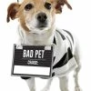 Petco Halloween Prisoner Dog Costume 1 Petco Halloween Prisoner Dog Costume -Spooky Pet World petco halloween prisoner costume xs c0e28173 4650 44d1 b883 a983fa06e8db