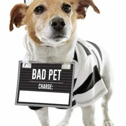 Petco Halloween Prisoner Dog Costume