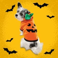Petco Halloween Pumpkin Dog/Pet Costume Hoodie, Assorted Sizes, Orange 5 Petco Halloween Pumpkin Dog/Pet Costume Hoodie, Assorted Sizes, Orange -Spooky Pet World petco halloween pumpkin hoodie md 77deebd8 e2c4 4624 95ce 5a94d94aeec1