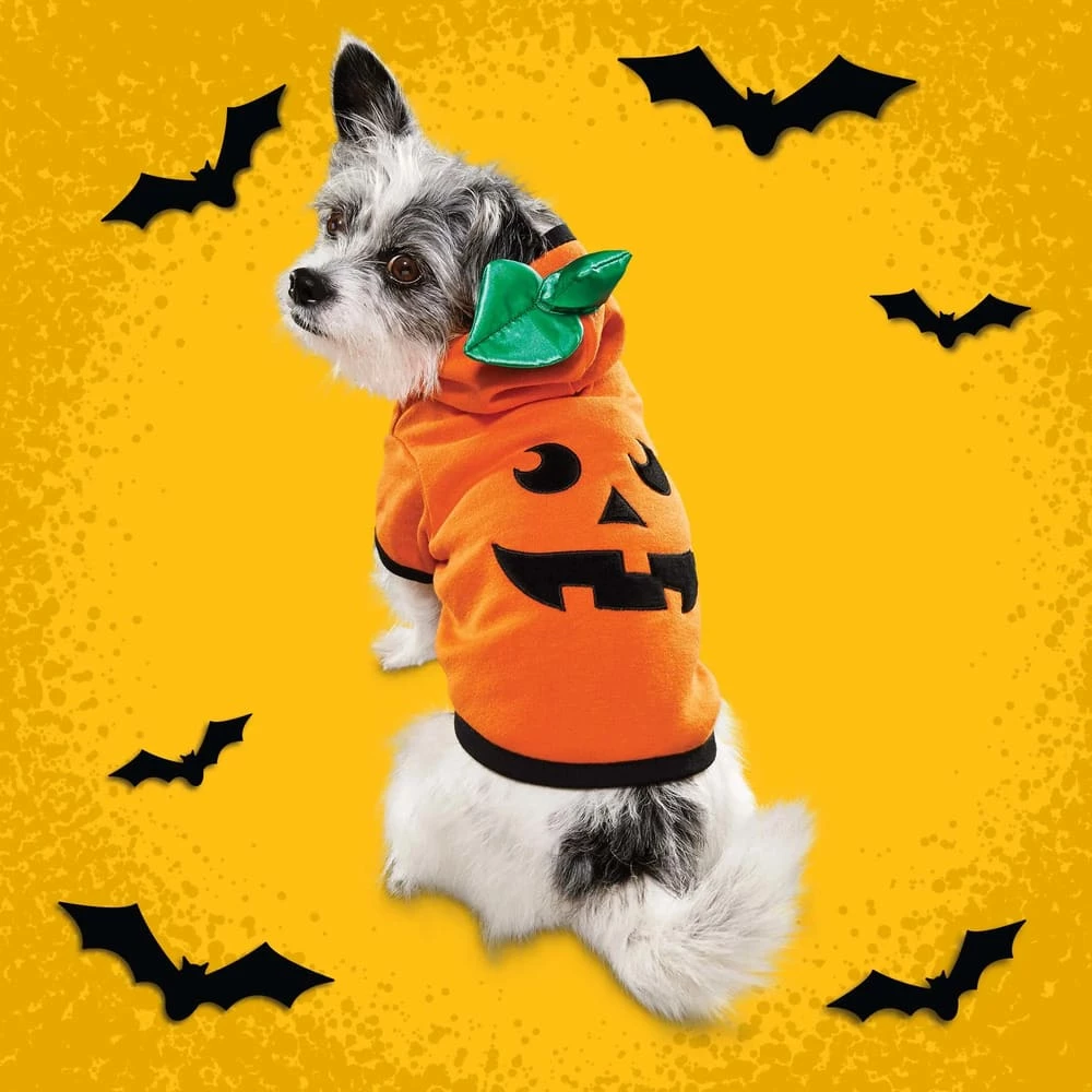 Petco Halloween Pumpkin Dog/Pet Costume Hoodie, Assorted Sizes, Orange 4 Petco Halloween Pumpkin Dog/Pet Costume Hoodie, Assorted Sizes, Orange - Image 2