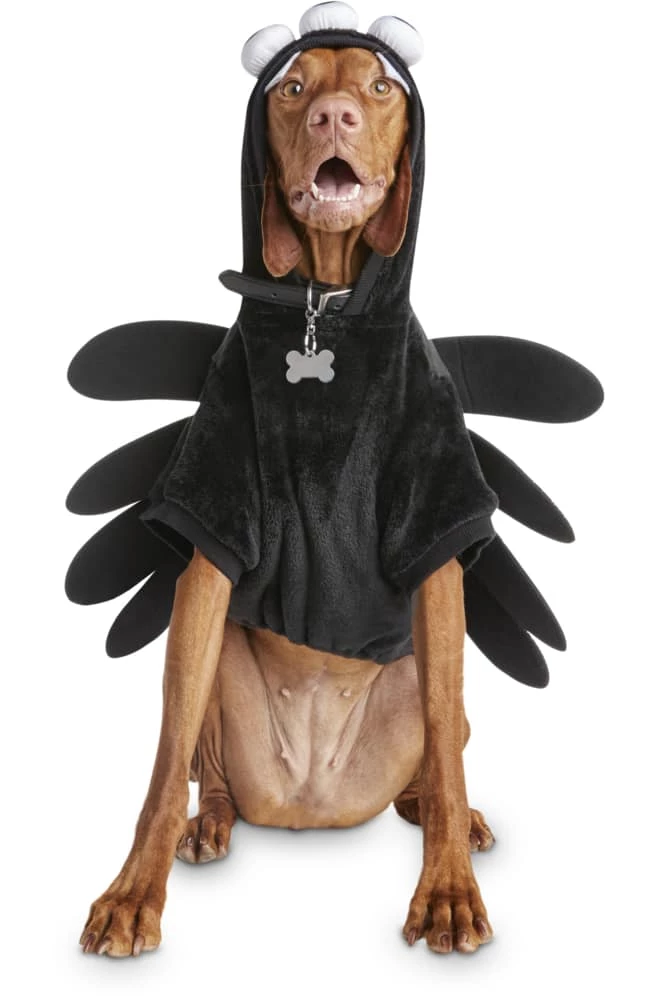 Petco Halloween Spider Dog/Pet Costume Hoodie, Assorted Sizes, Black 3 Petco Halloween Spider Dog/Pet Costume Hoodie, Assorted Sizes, Black