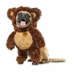 Petco Halloween Teddy Bear Pet Illusion Costume