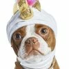 Petco Halloween Unicorn Dog Costume Hat, Assorted Sizes -Spooky Pet World petco halloween unicorn hat s m 4fa9ca6e 0aab 47be 893c c7a93941d777