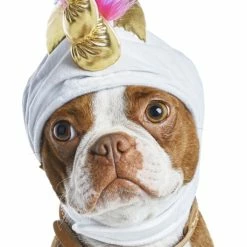 Petco Halloween Unicorn Dog Costume Hat, Assorted Sizes