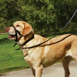 Petco No-Pull Dog Head Halter, Adjustable, Large, Black 7 Petco No-Pull Dog Head Halter, Adjustable, Large, Black -Spooky Pet World petco head halter for dogs large d344950c d0f5 4dcc a0e5 9592aff89bb1