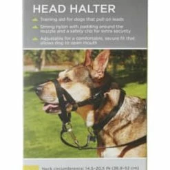 Petco No-Pull Dog Head Halter, Adjustable, Medium, Black 11 Petco No-Pull Dog Head Halter, Adjustable, Medium, Black -Spooky Pet World petco head halter for dogs medium cf3286de c558 46fc a92c 88a070c9d668
