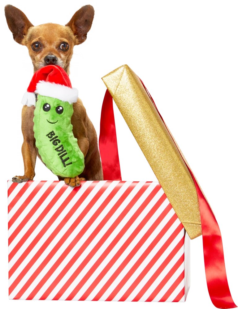 Petco Pickle Soft Plush Squaky Dog Toys, Assorted Styles, 6-in 8 Petco Pickle Soft Plush Squaky Dog Toys, Assorted Styles, 6-in - Image 6