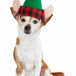 Petco Elf Dog Costume Hat, Assorted Styles