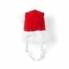Petco Holiday Pet Santa Hat