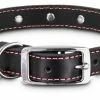 Petco Leather Jewel Dog Collar, Adjustable, Assorted Sizes, Black/Pink 2 Petco Leather Jewel Dog Collar, Adjustable, Assorted Sizes, Black/Pink -Spooky Pet World petco jewel collar pink large 4a60c150 23c5 4096 8b79 b2db0f0e96c9