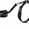Petco Kitten Harness And Leash Set, Adjustable, 4-ft, Black -Spooky Pet World petco kitten harness black 49b29d44 24d9 47dc a239 585be23126a5