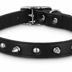 Petco Leather With Spike Rivets Dog Collar, Adjustable, Assorted Sizes, Black -Spooky Pet World petco leather black spike collar md e9259fd4 c2a4 450d b8c9 7f5bf7b69c63