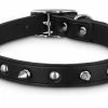 Petco Leather With Spike Rivets Dog Collar, Adjustable, Assorted Sizes, Black 1 Petco Leather With Spike Rivets Dog Collar, Adjustable, Assorted Sizes, Black -Spooky Pet World petco leather black spike collar x lg fa61bd2b f7ce 4568 a66b 23e8a88f7665