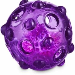 Petco Rubber Light Up Ball Dog Toy, 2-in, Assorted Colours -Spooky Pet World petco light up ball dog toy in assorted colours 873fc2b6 93c7 4dfe 91e9 7a1ad278294f