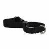 Petco Nylon Martingale Dog Collar, Adjustable, Assorted Sizes, Black 2 Petco Nylon Martingale Dog Collar, Adjustable, Assorted Sizes, Black -Spooky Pet World petco martingale dog collar black large 11e99a5d a819 42d7 bb90 5f3c6115cd83