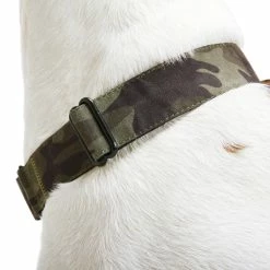 Petco Nylon Martingale Dog Collar, Adjustable, Assorted Sizes, Camo -Spooky Pet World petco martingale dog collar camo large cecce72e 2a57 4f16 9819 83bec90fba32